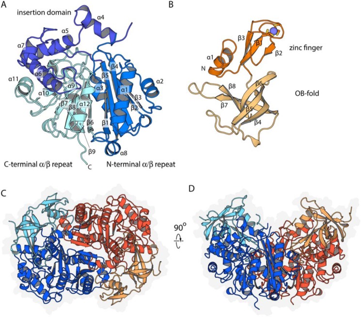 Figure 2.