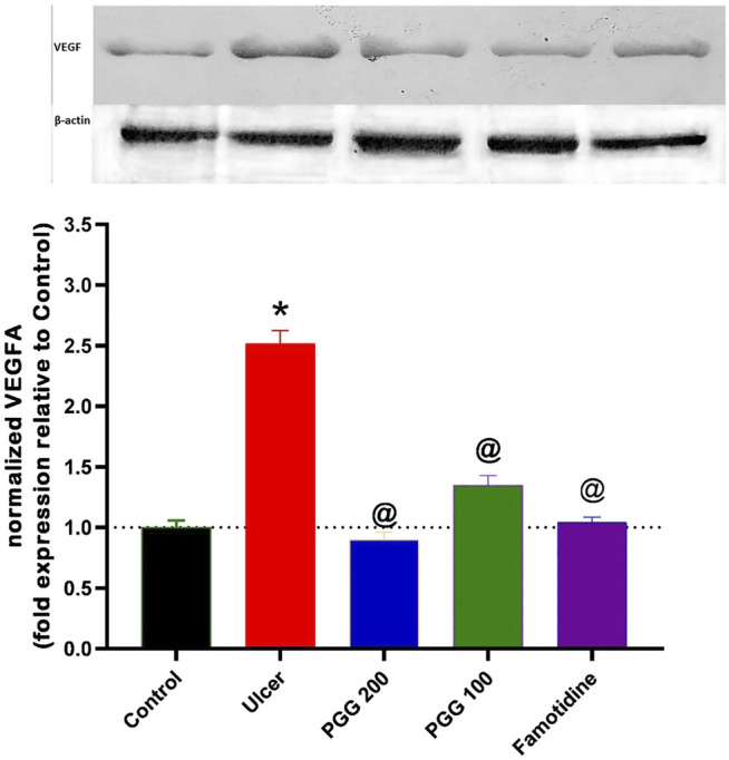 FIGURE 10