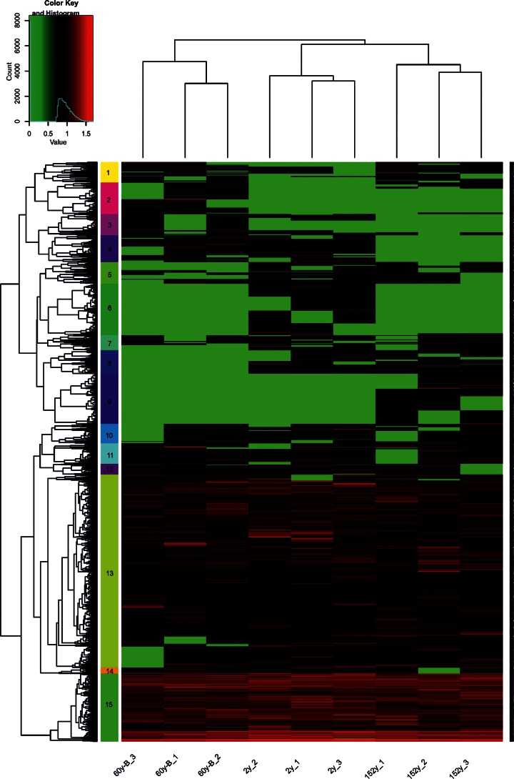 FIG 6