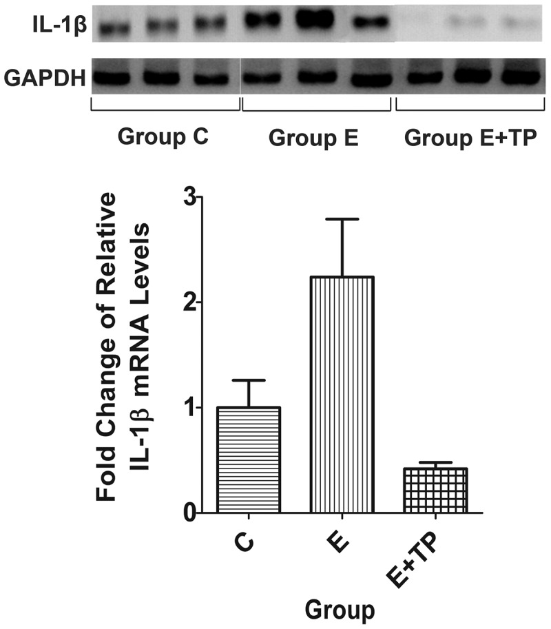 Figure 4.