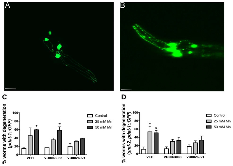 Fig. 2: