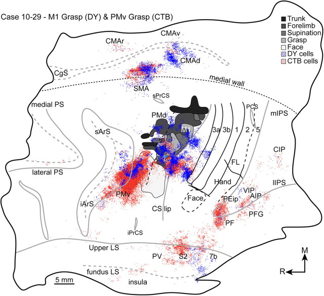 Figure 6.