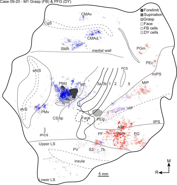 Figure 12.