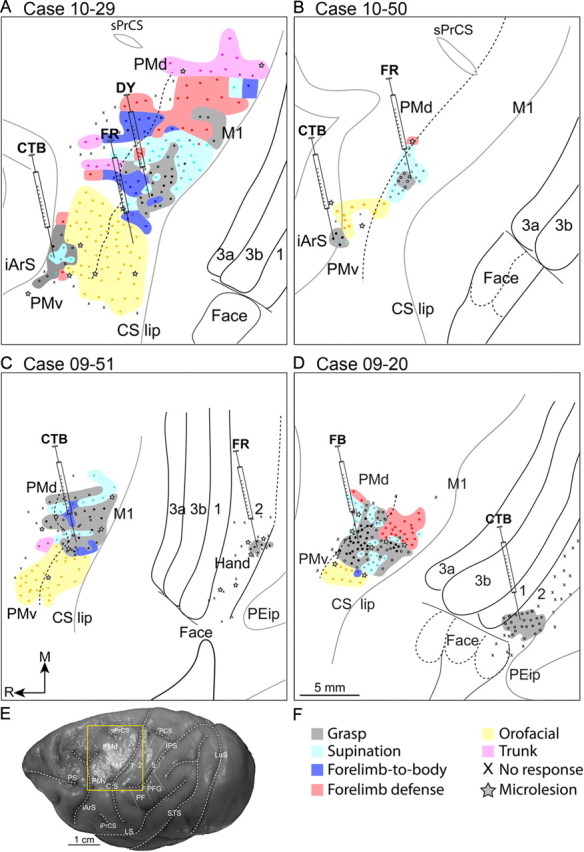 Figure 5.