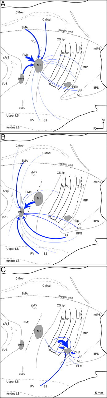 Figure 13.