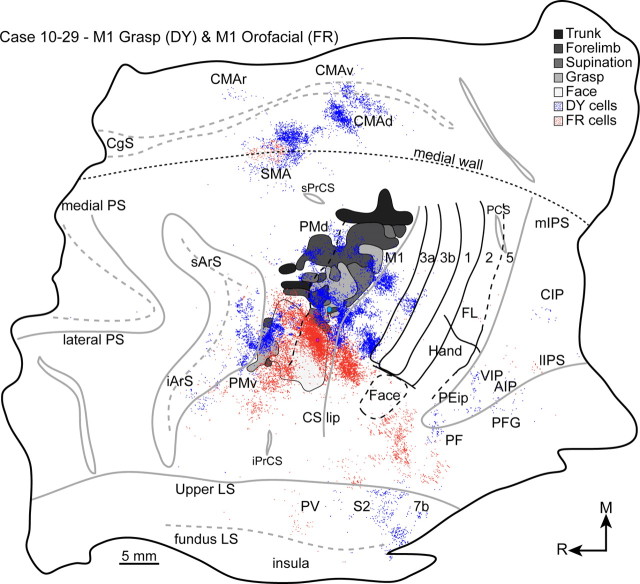 Figure 10.