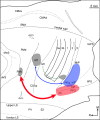 Figure 14.