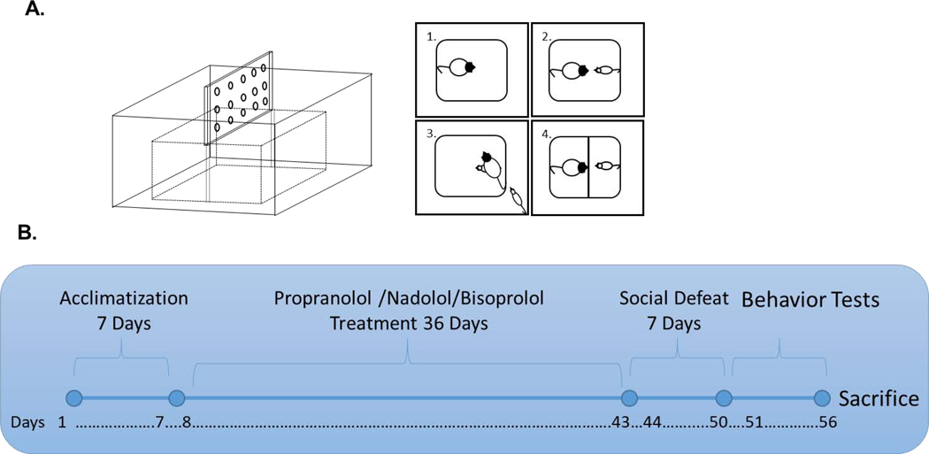 Fig. 1: