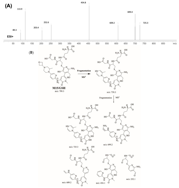 Figure 10