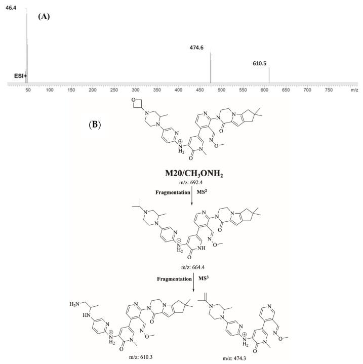 Figure 13