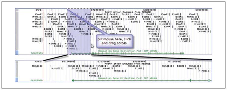 Figure 19.9.6