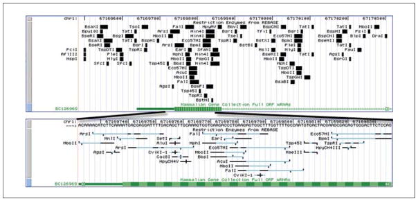 Figure 19.9.7