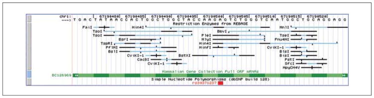 Figure 19.9.8