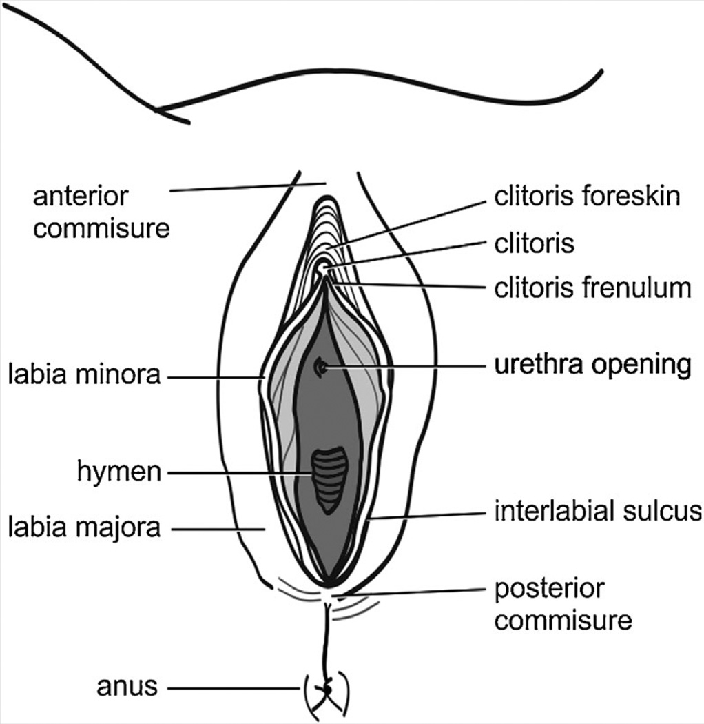 FIG. 34