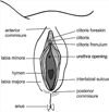 FIG. 34