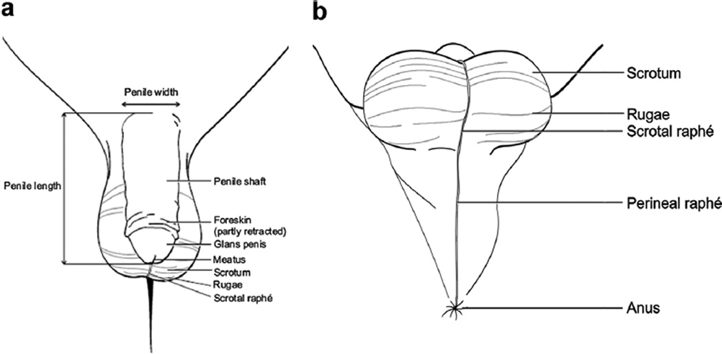 FIG. 1