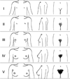 FIG. 36