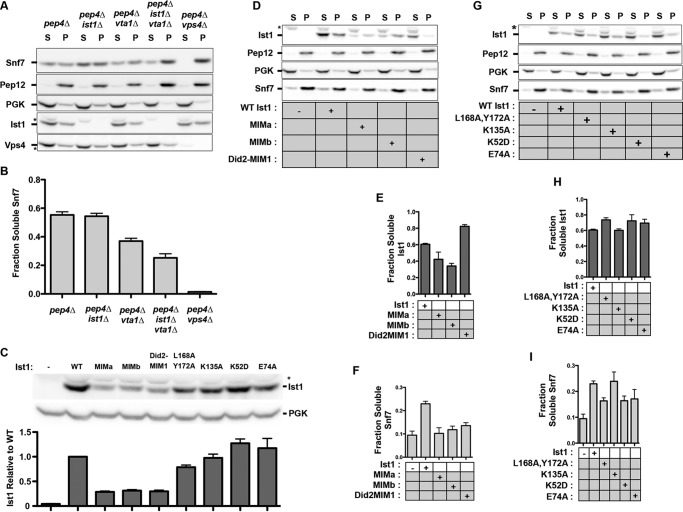 FIGURE 10.