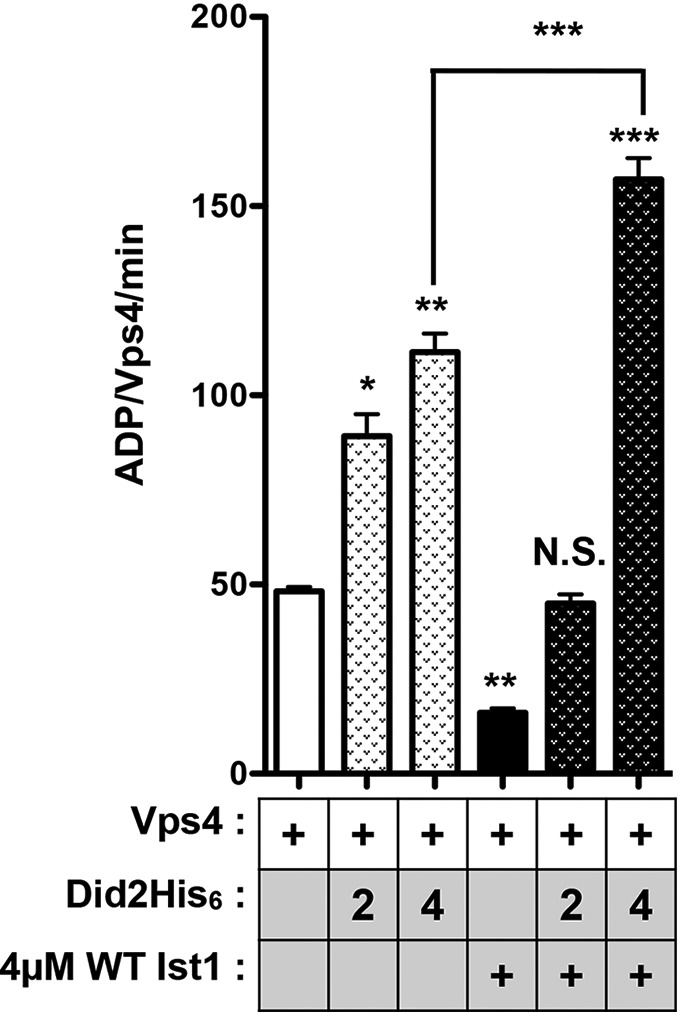 FIGURE 9.