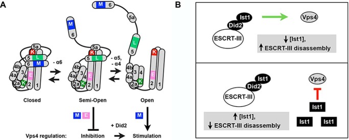 FIGURE 12.