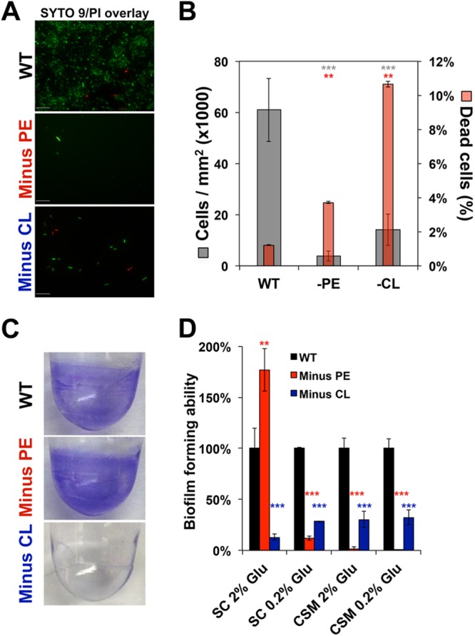 FIG 6