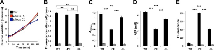 FIG 5