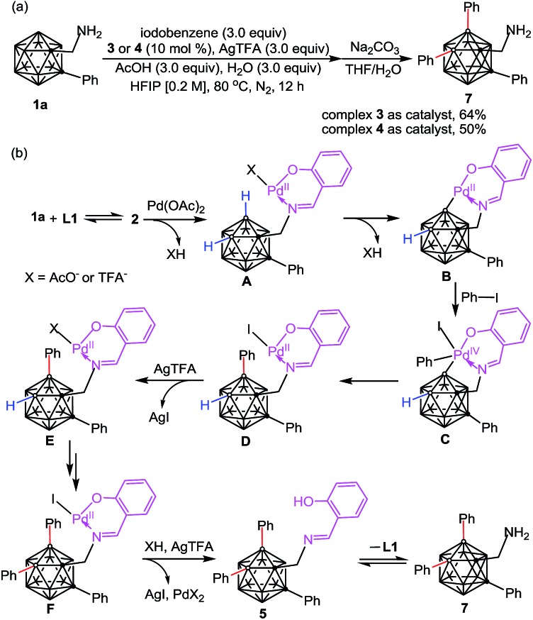 Scheme 3