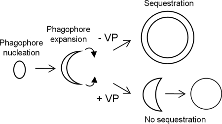 FIGURE 9.