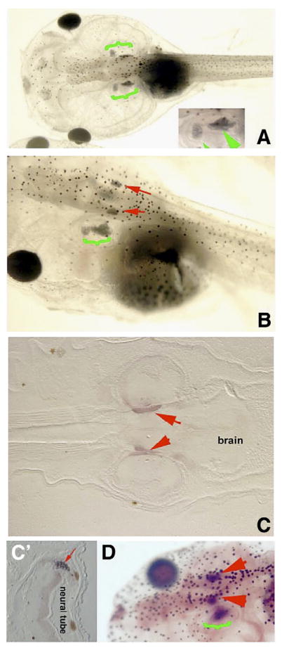 Fig. 3