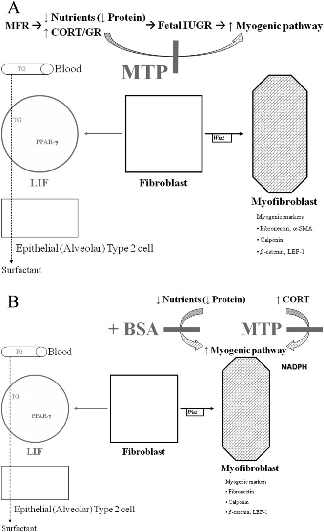 Figure 10.