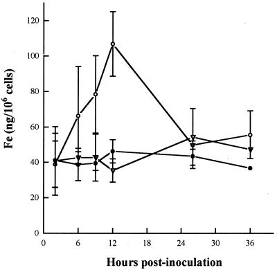 FIG. 4