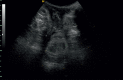 Fig. 10