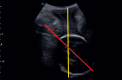 Fig. 9