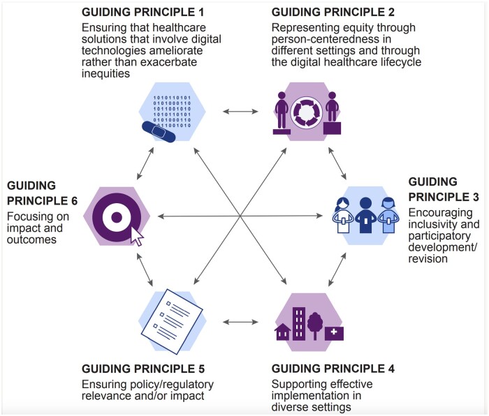 This figure shows the six guiding principles that guided the development of the framework and how the principles are interconnected.