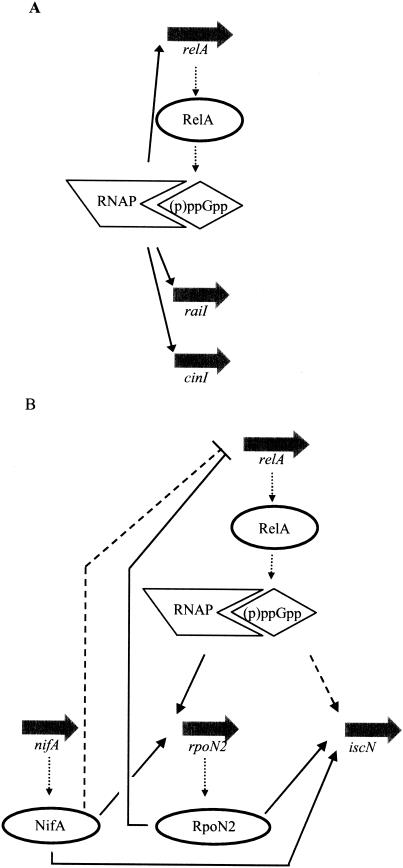 FIG. 8.