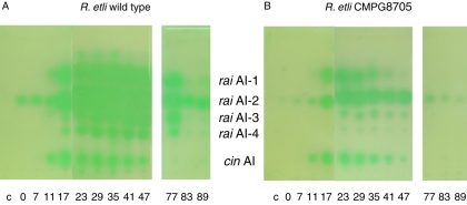 FIG. 7.