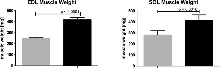 Fig 5