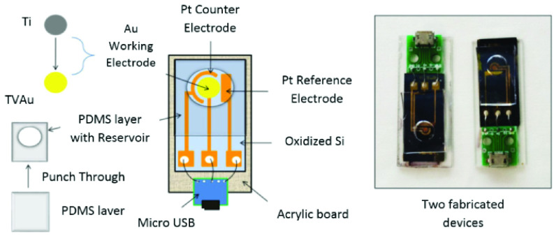 Fig. 2.