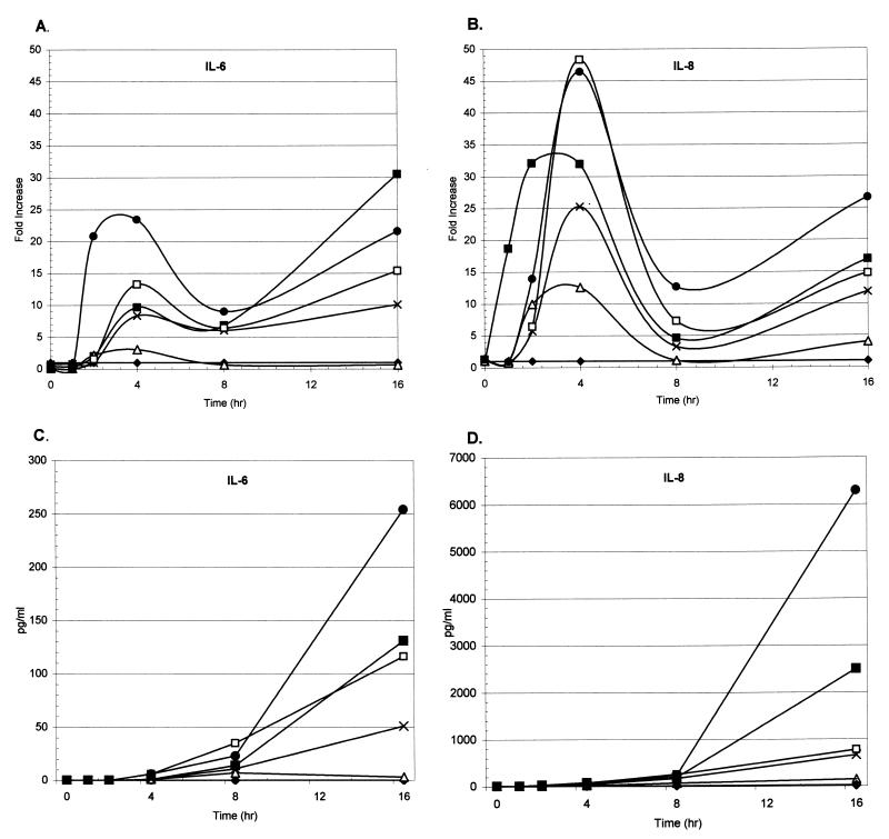 FIG. 1