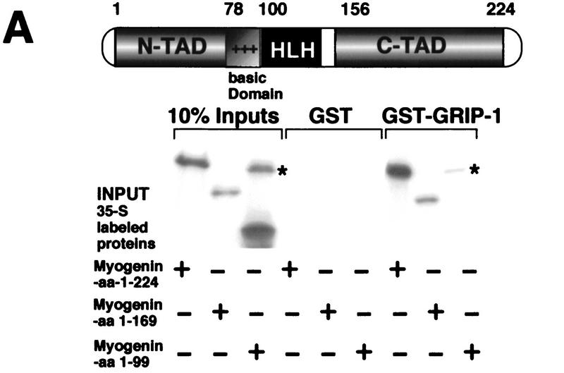 Figure 11