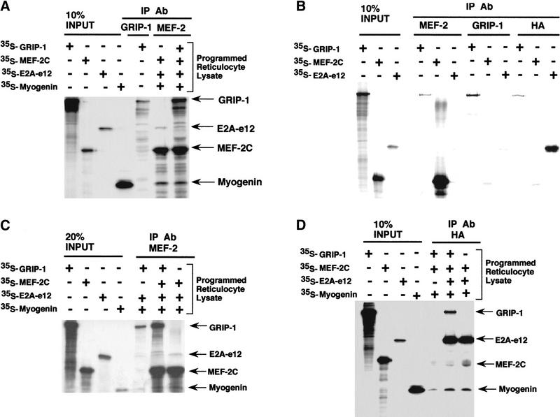 Figure 12