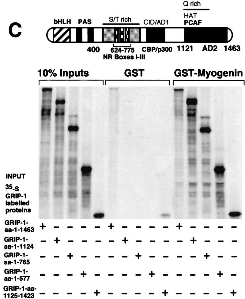 Figure 11