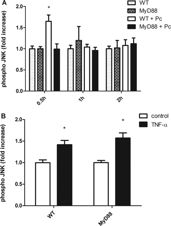 Fig 4