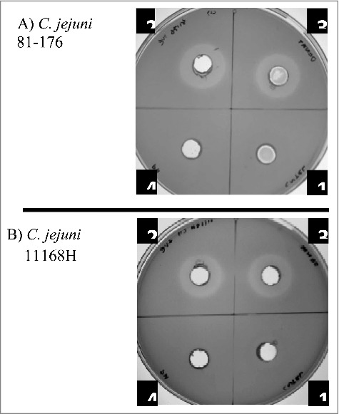 Figure 6.