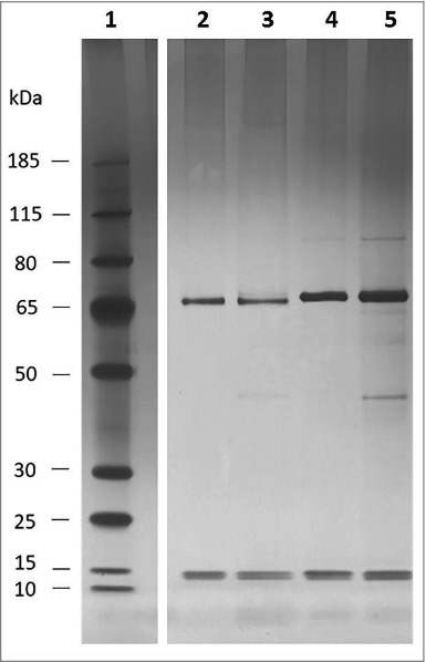 Figure 5.