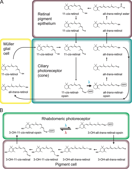 FIGURE 3.