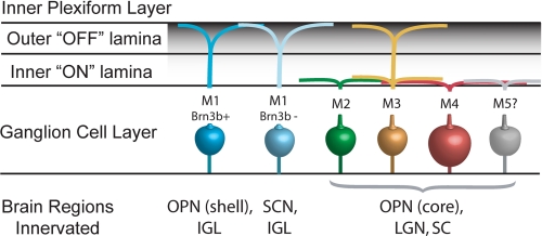 FIGURE 1.