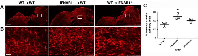 Figure 13.