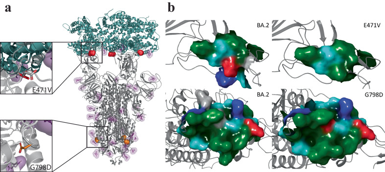 Fig. 4