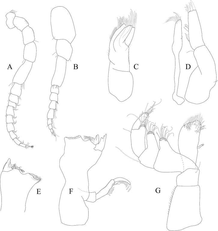 Figure 6.